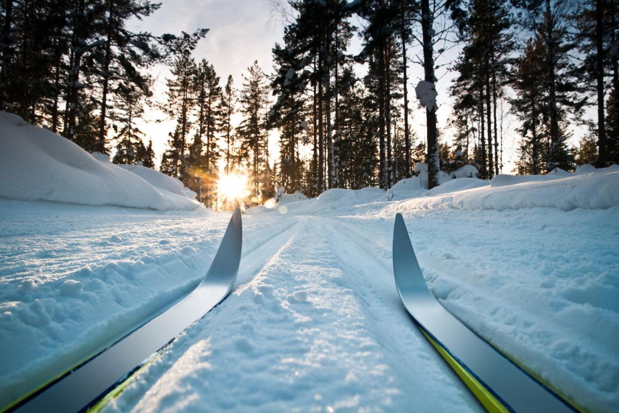 Hotel First Camp Bjoerknaes-Boden Zewnętrze zdjęcie